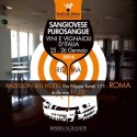 25/26-1-2014 Roma – ’’Sangiovese Purosangue’’: vini e vignaioli d’Italia – Enoclub Siena