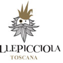 Chianti Classico DOCG 2016 Vallepicciola